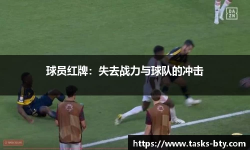 b体育官网